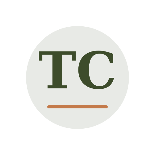 Tavi Chimney Services logo